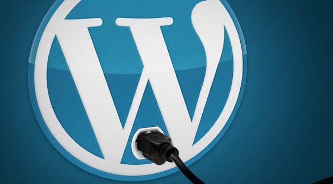 Wordpress logo med stik